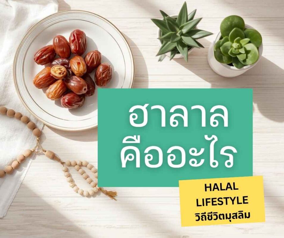 ฮาลาลคืออะไร วิถีชีวิตฮาลาลที่สมบูรณ์และสมดุล